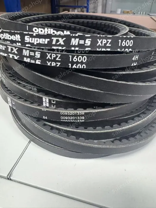Oil seal, belt